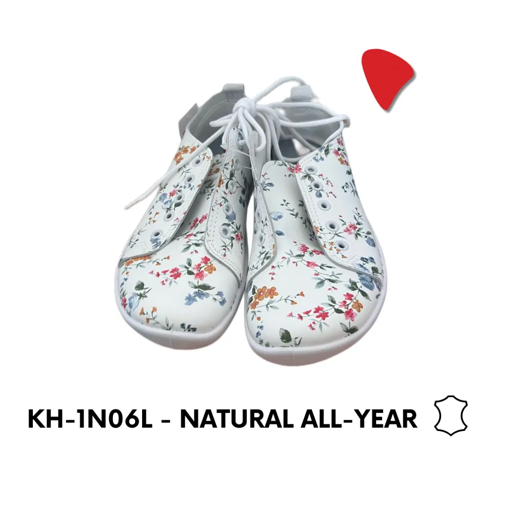 KH-1N06L