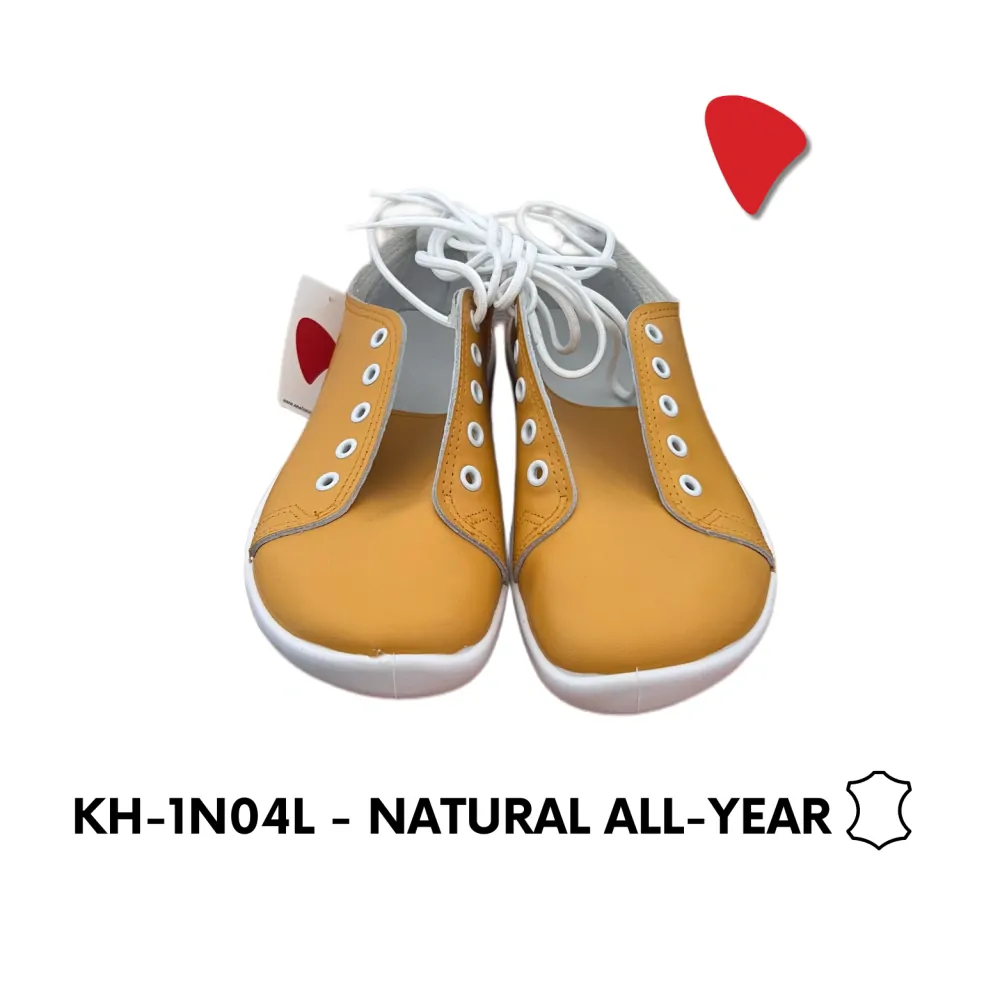 KH-1N04L