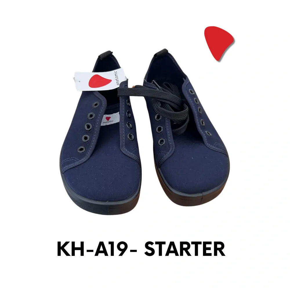 KH-A19
