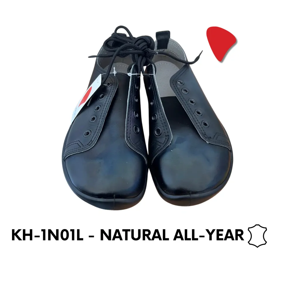 KH-1N01L-700