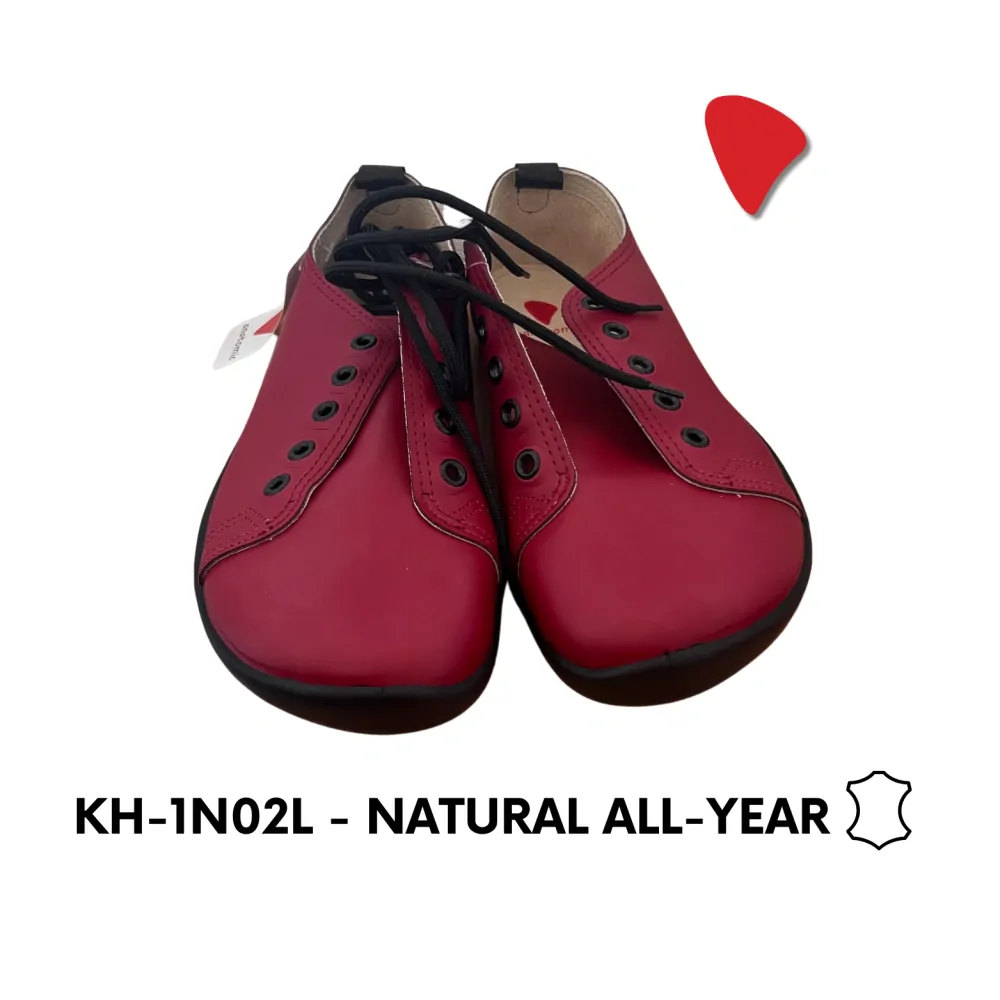 KH-1N02L