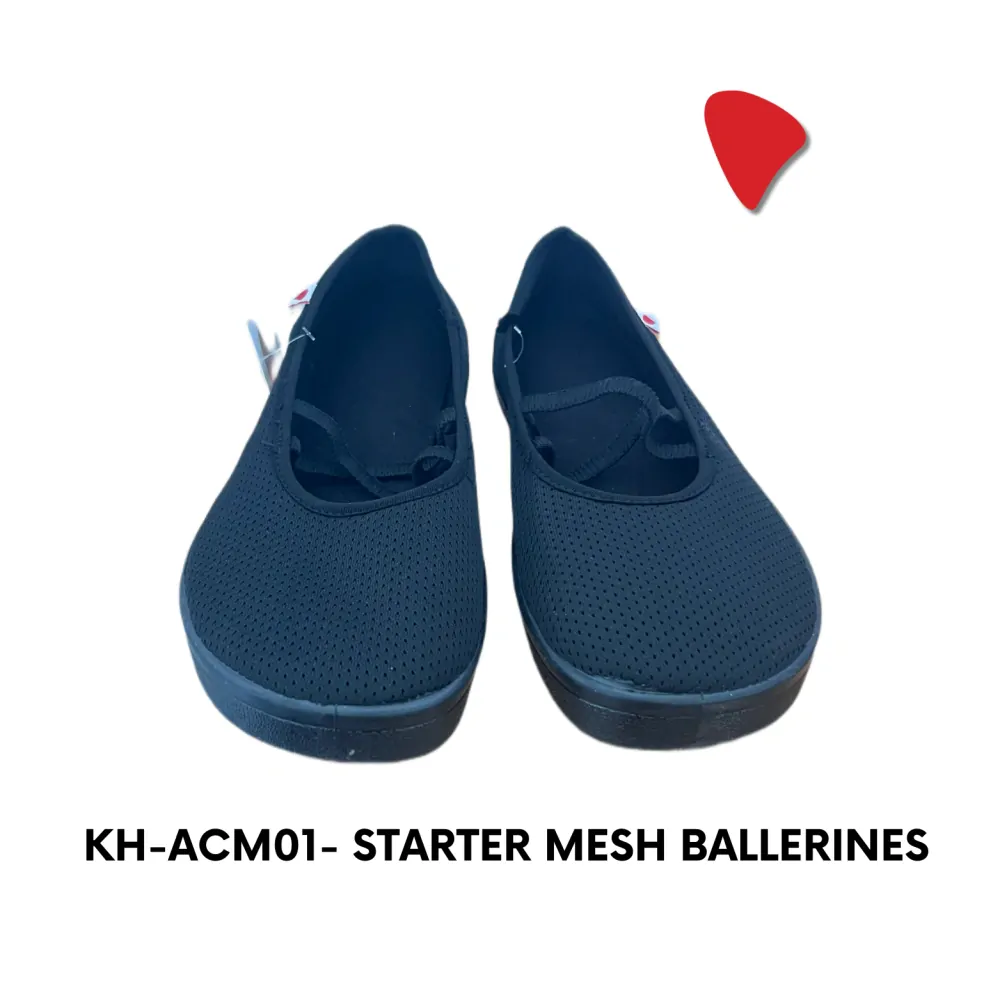 KH-ACM01
