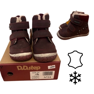 D0405-D.D.STEP-029-24-Raspberry
